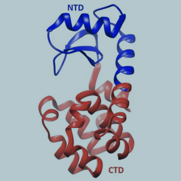 #PHDone: Studying protein conformational dynamics over large timescales